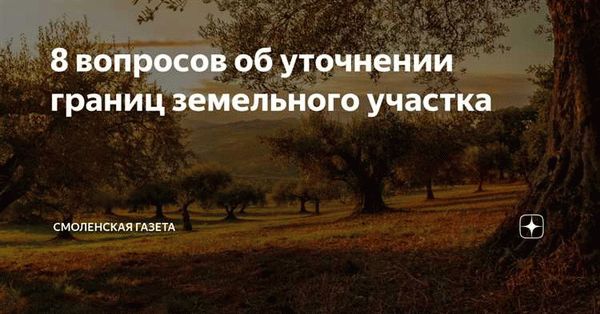 Может ли измениться площадь участка в процессе уточнения границ?