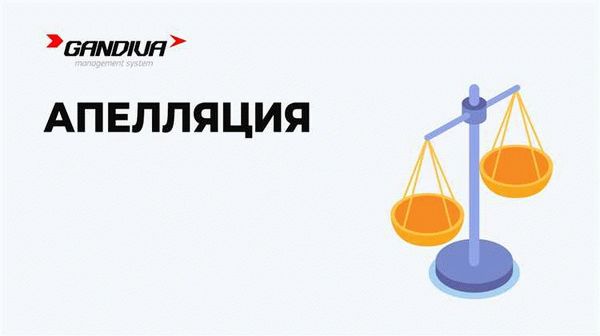 Основные моменты решения апелляционного суда