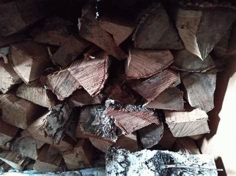 Экономические преимущества использования бесплатной древесины