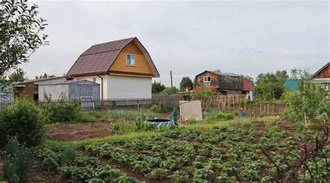 Установить детскую площадку