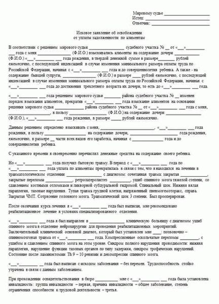 Иск об освобождении от уплаты алиментов: что это такое и зачем?