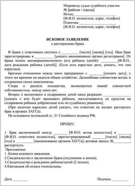 Подпишите электронным подписью и отправьте заявление на рассмотрение в суд