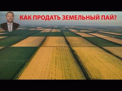 Необходимые для продажи документы