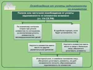 Юридический взгляд на освобождение от уплаты алиментов