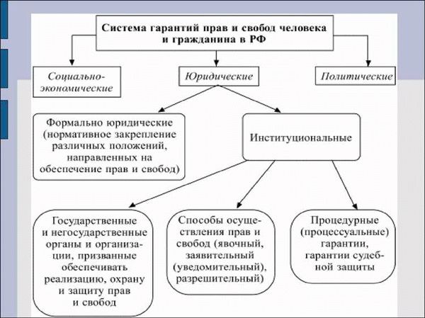 Судебные конституционные споры: примеры и решения