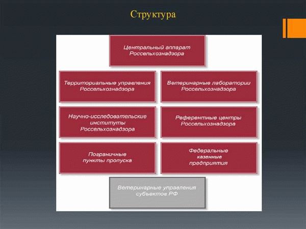 Процедура работы надзорной инстанции