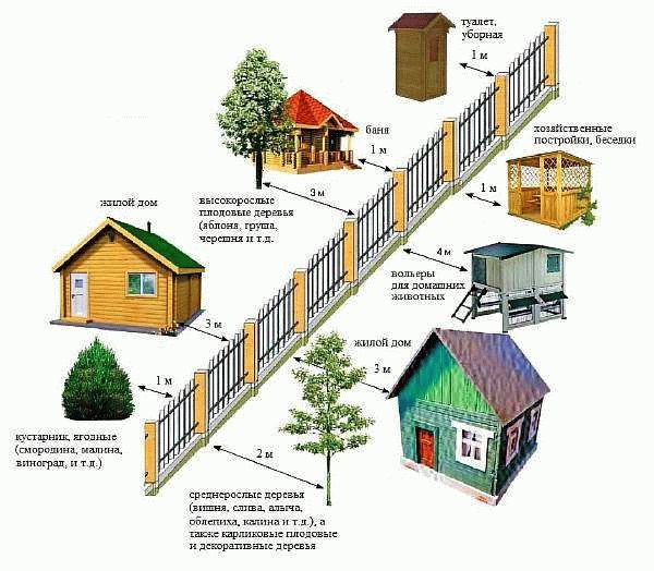 Как правильно определить отступы от границ участка?