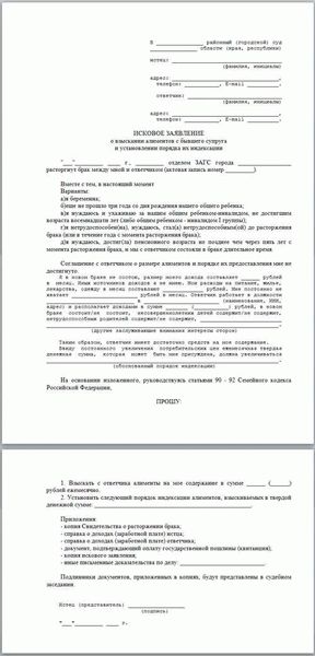 Особенности совместного искового заявления