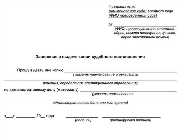 Шаг 2: Указание сведений о решении суда