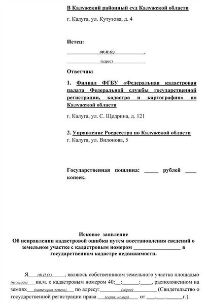 Заявление об исправлении описки