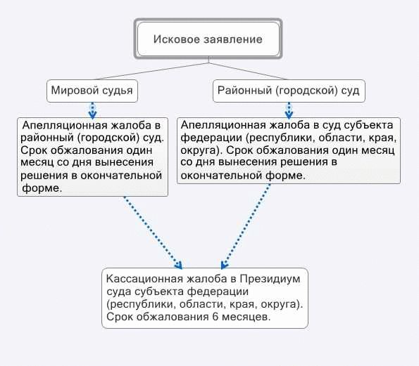 В гражданском судопроизводстве