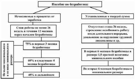 Условия постановки на учет в центр занятости населения при увольнении