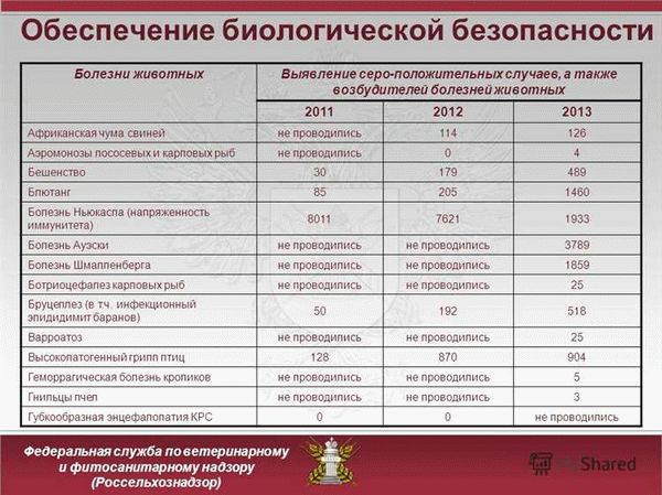 Административная и уголовная ответственность директора