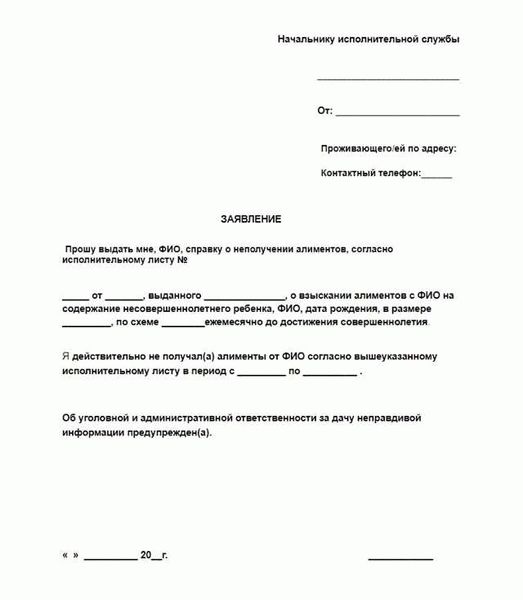 Действия судебного исполнителя после принятия заявления