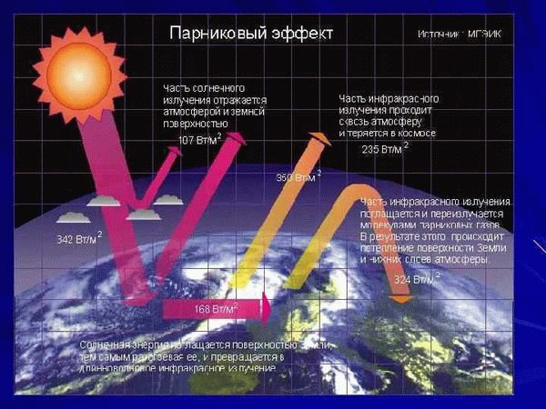 Законодательный акт, определяющий наказание за нарушение экологической безопасности