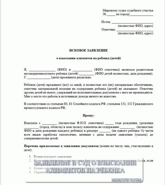 В каких случаях можно подать заявление о выдаче долгов по заработной плате по судебному приказу?